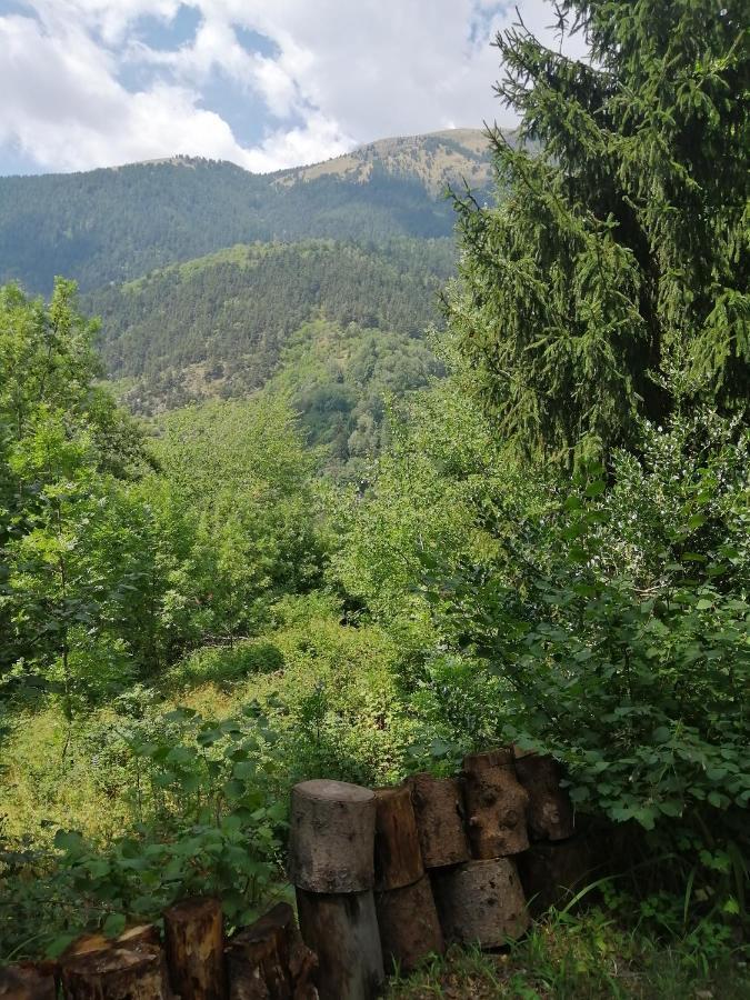 Chalet Le Tyrolien, Au Coeur Du Boreon Saint-Martin-Vésubie Zewnętrze zdjęcie
